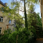 Schwabinger Hinterhof auf Höhe der Dietlindenstraße in München Schwabing