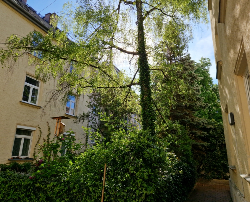 Schwabinger Hinterhof auf Höhe der Dietlindenstraße in München Schwabing